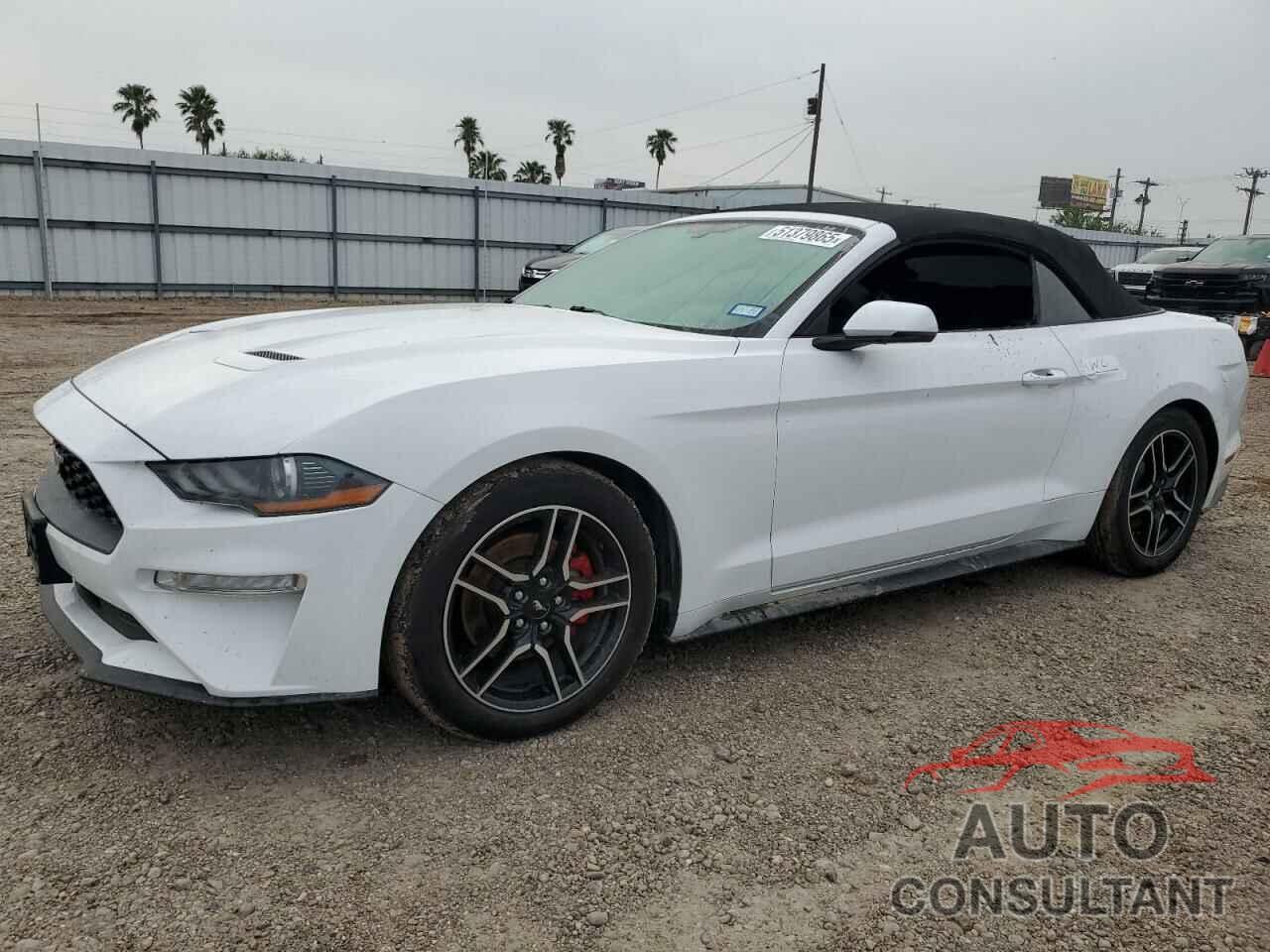 FORD ALL Models 2019 - 1FATP8UHXK5171051