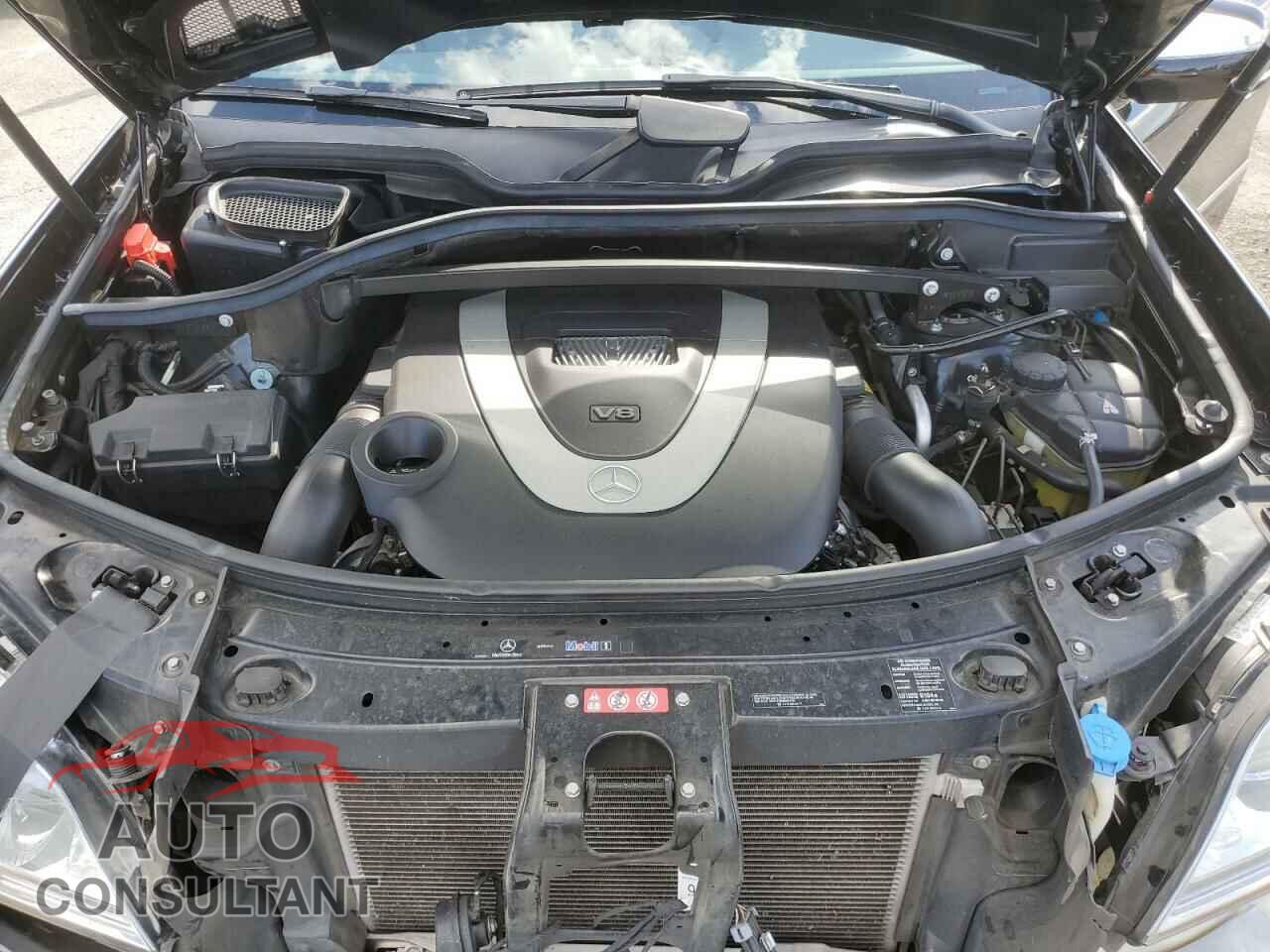 MERCEDES-BENZ GL-CLASS 2010 - 4JGBF7BE3AA542886