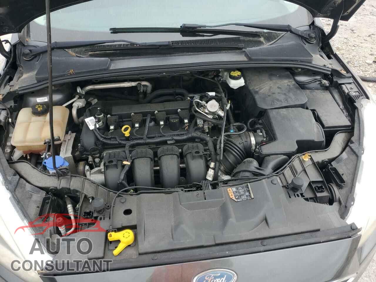 FORD FOCUS 2018 - 1FADP3K23JL294965