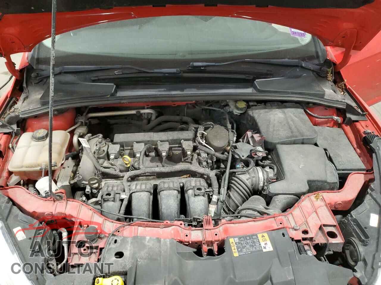 FORD FOCUS 2016 - 1FADP3K26GL303974
