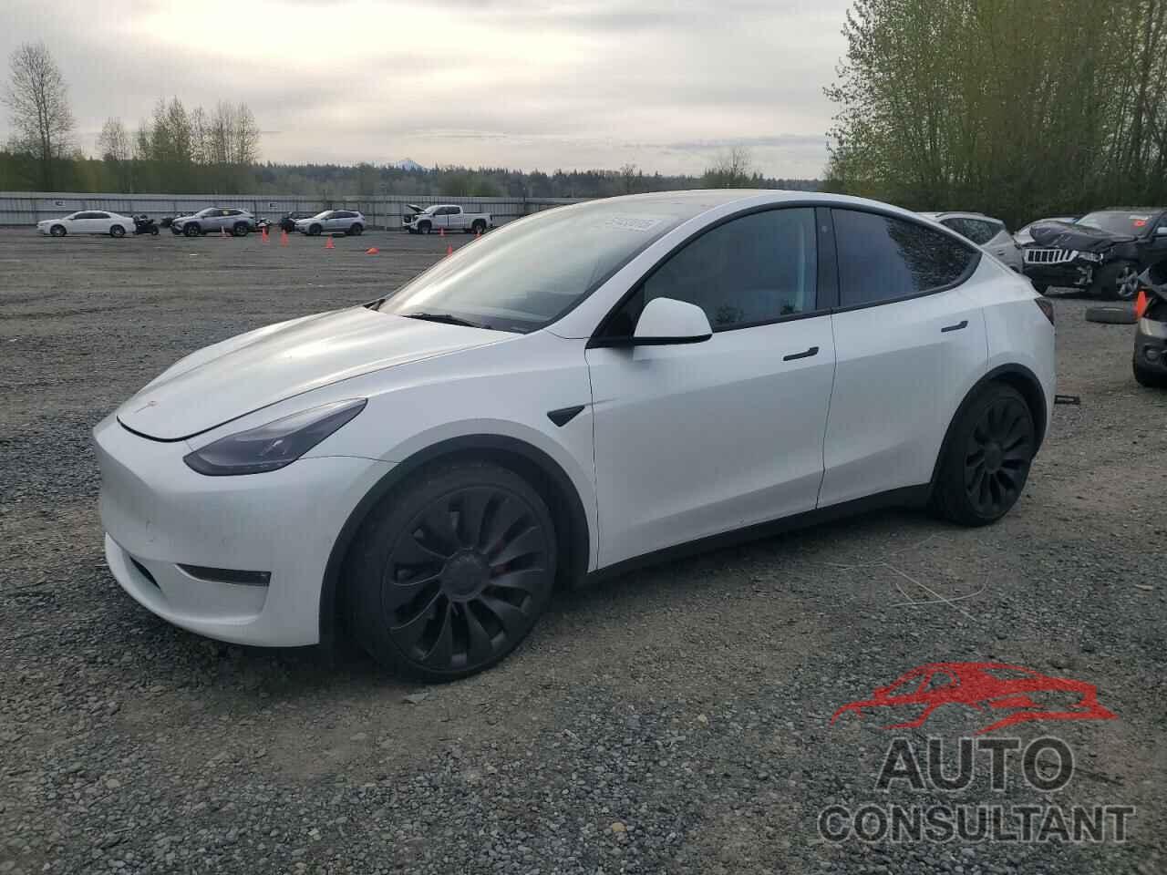 TESLA MODEL Y 2022 - 7SAYGDEF5NF488800