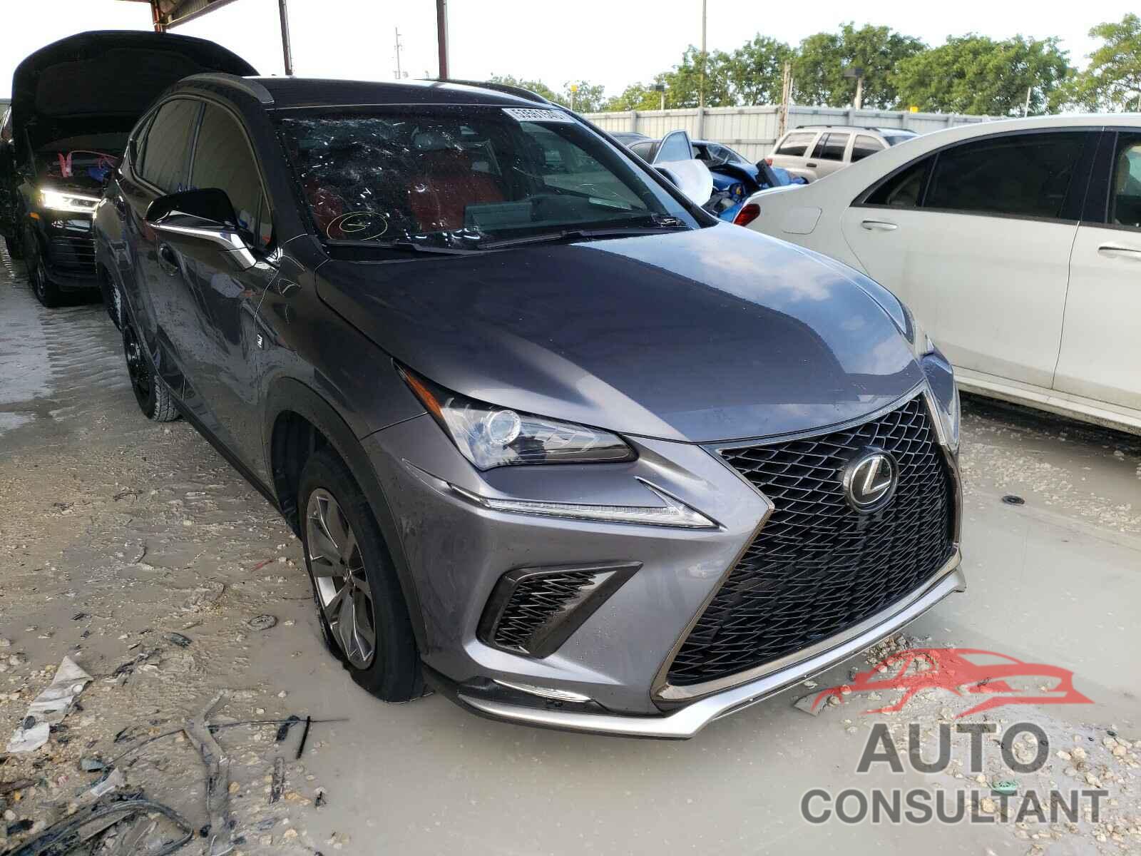 LEXUS NX 2019 - JTJYARBZ3K2135543