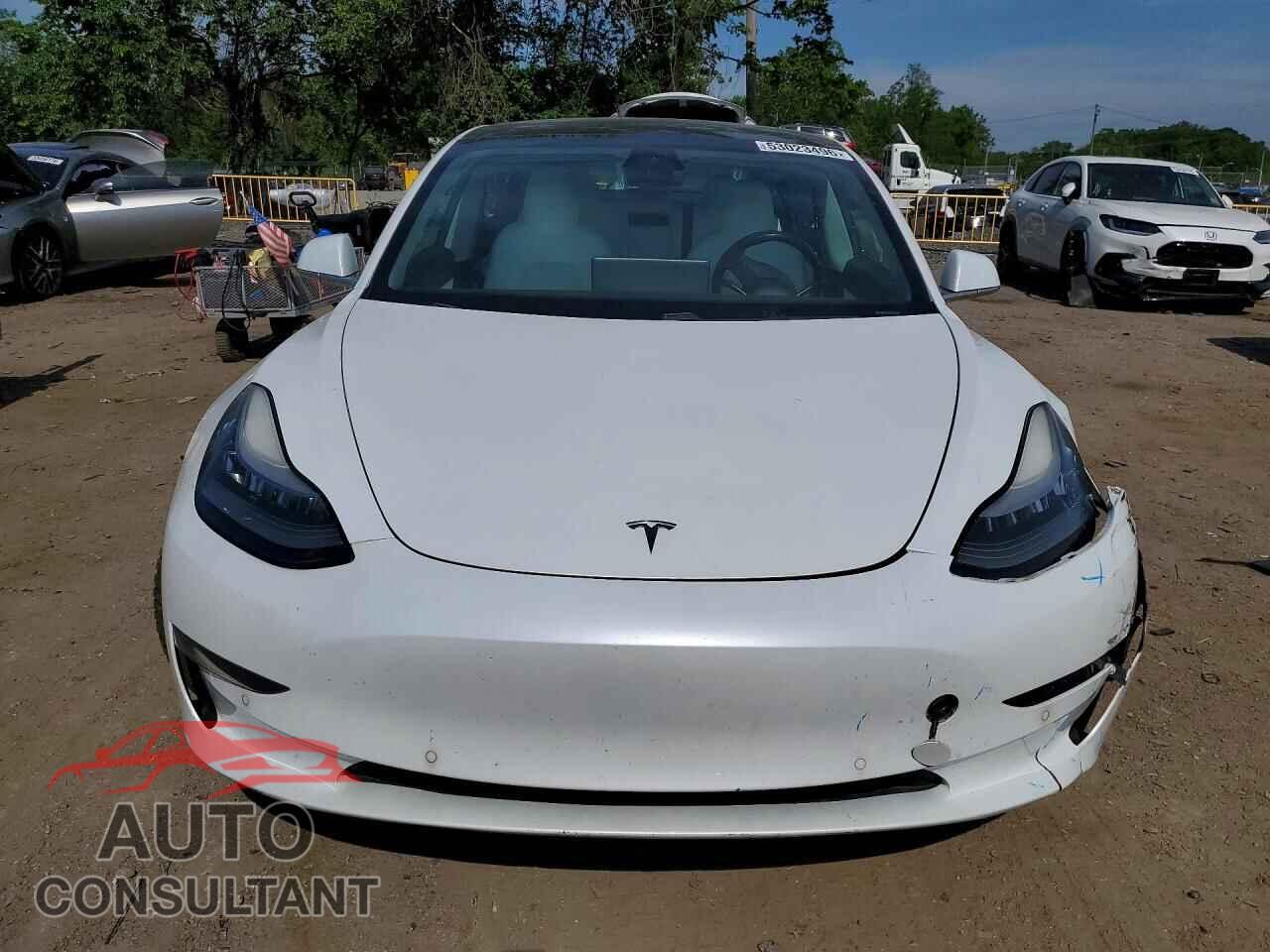 TESLA MODEL 3 2019 - 5YJ3E1EA1KF417816