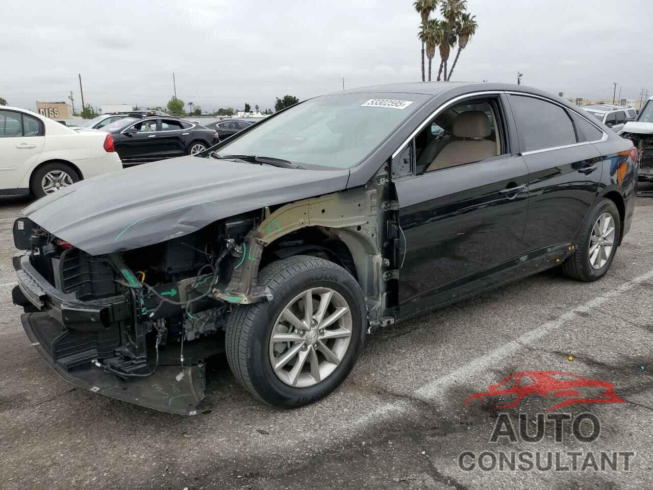 HYUNDAI SONATA 2019 - 5NPE24AF5KH806898