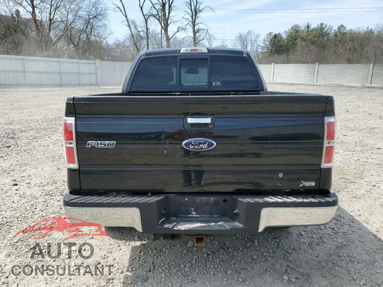 FORD F-150 2010 - 1FTFW1EV2AFD23600