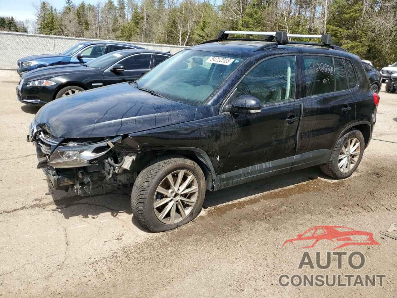 VOLKSWAGEN TIGUAN 2014 - WVGHV3AX4EW597932