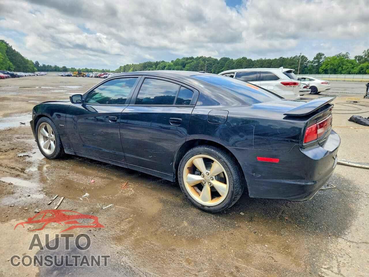 DODGE CHARGER 2014 - 2C3CDXCT9EH159137