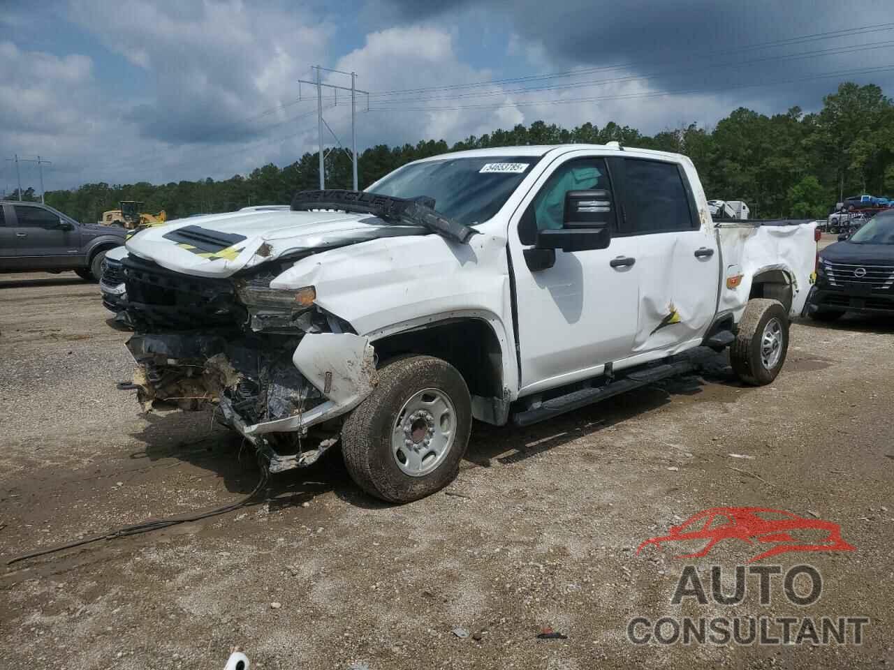 CHEVROLET ALL Models 2021 - 1GC4WLE75MF189688