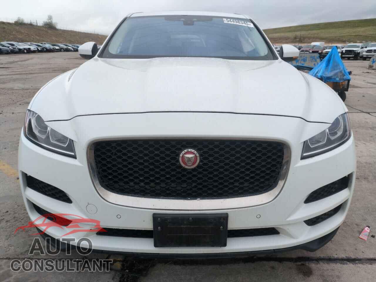 JAGUAR F-PACE 2019 - SADCS2FX0KA602177