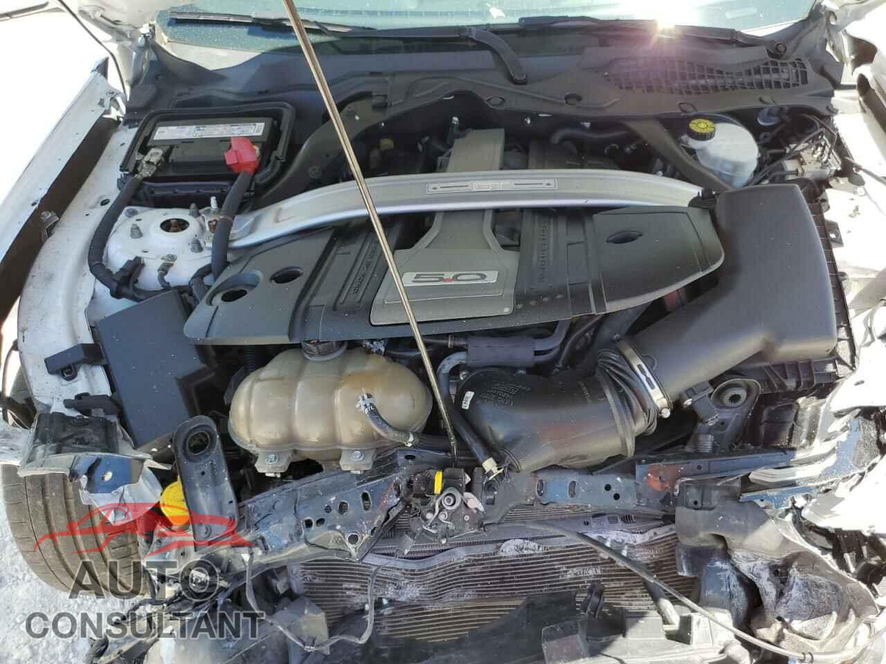 FORD MUSTANG 2018 - 1FATP8FF1J5179145