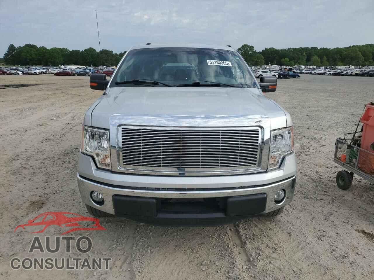 FORD F-150 2013 - 1FTFX1CF8DFA99231
