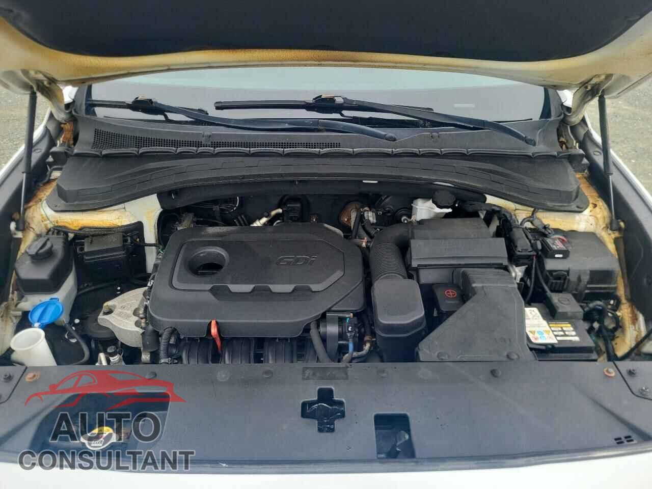 HYUNDAI SANTA FE 2019 - 5NMS2CAD3KH007792