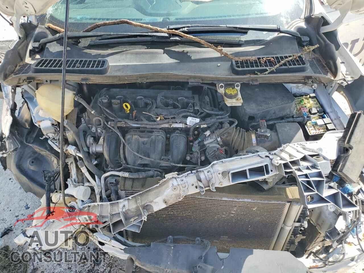 FORD ESCAPE 2019 - 1FMCU0F78KUB58292