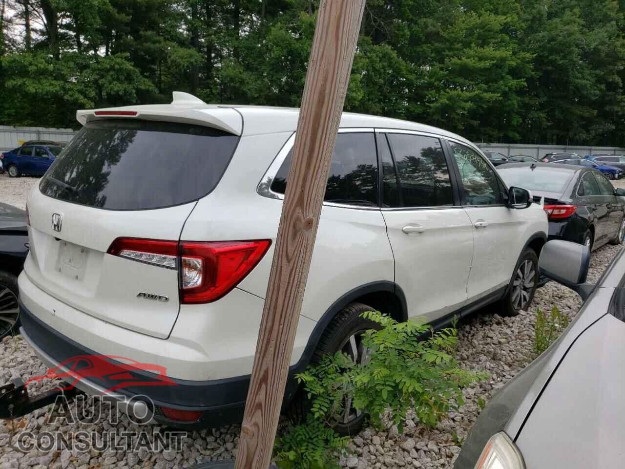 HONDA PILOT 2019 - 5FNYF6H32KB016014