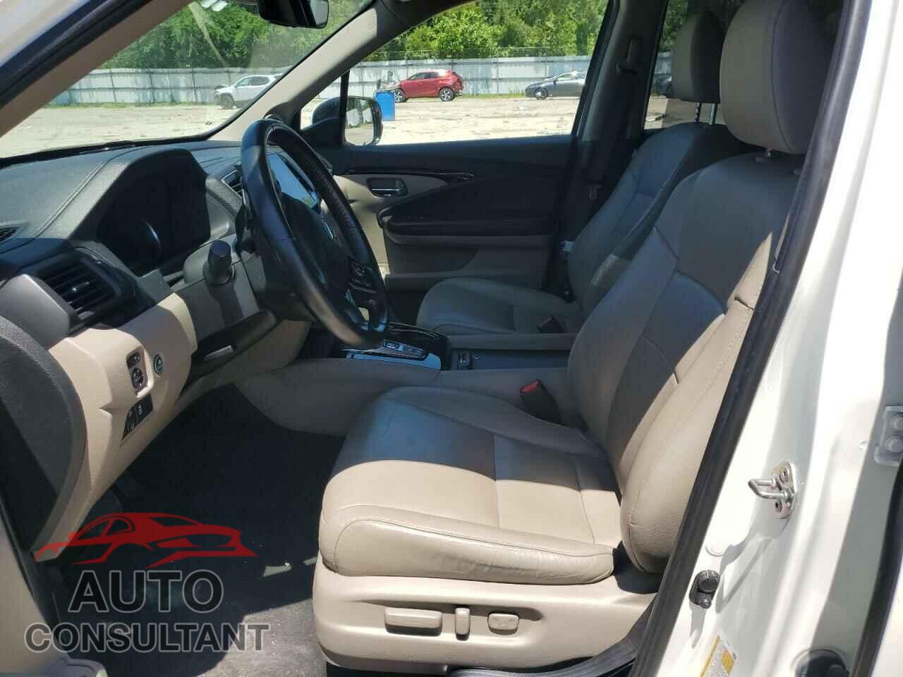 HONDA PILOT 2019 - 5FNYF6H69KB066399