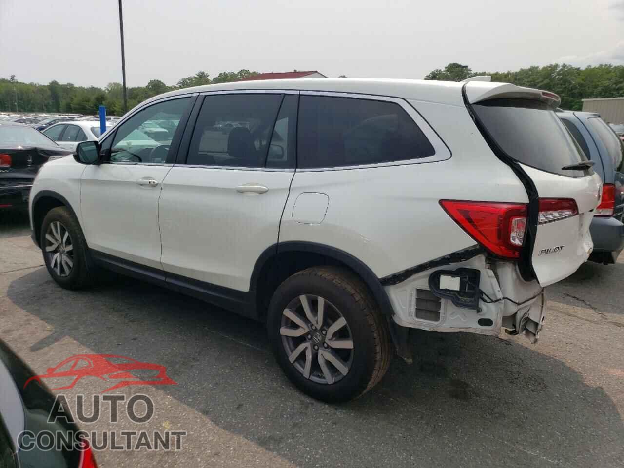 HONDA PILOT 2019 - 5FNYF6H46KB011956
