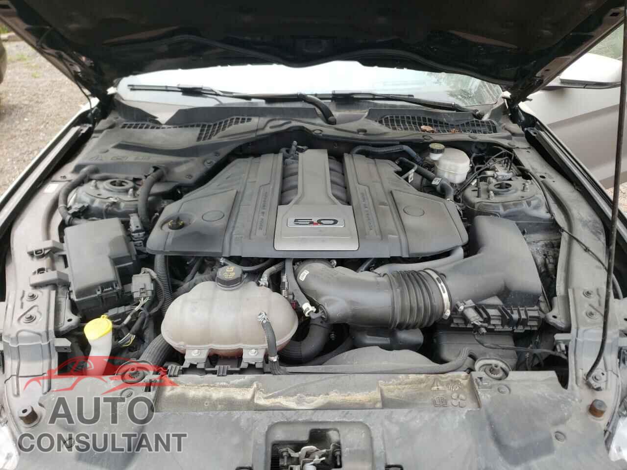 FORD MUSTANG 2019 - 1FA6P8CF0K5159987