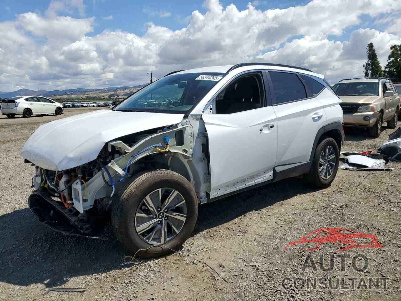 HYUNDAI TUCSON 2023 - KM8JBCA19PU100684