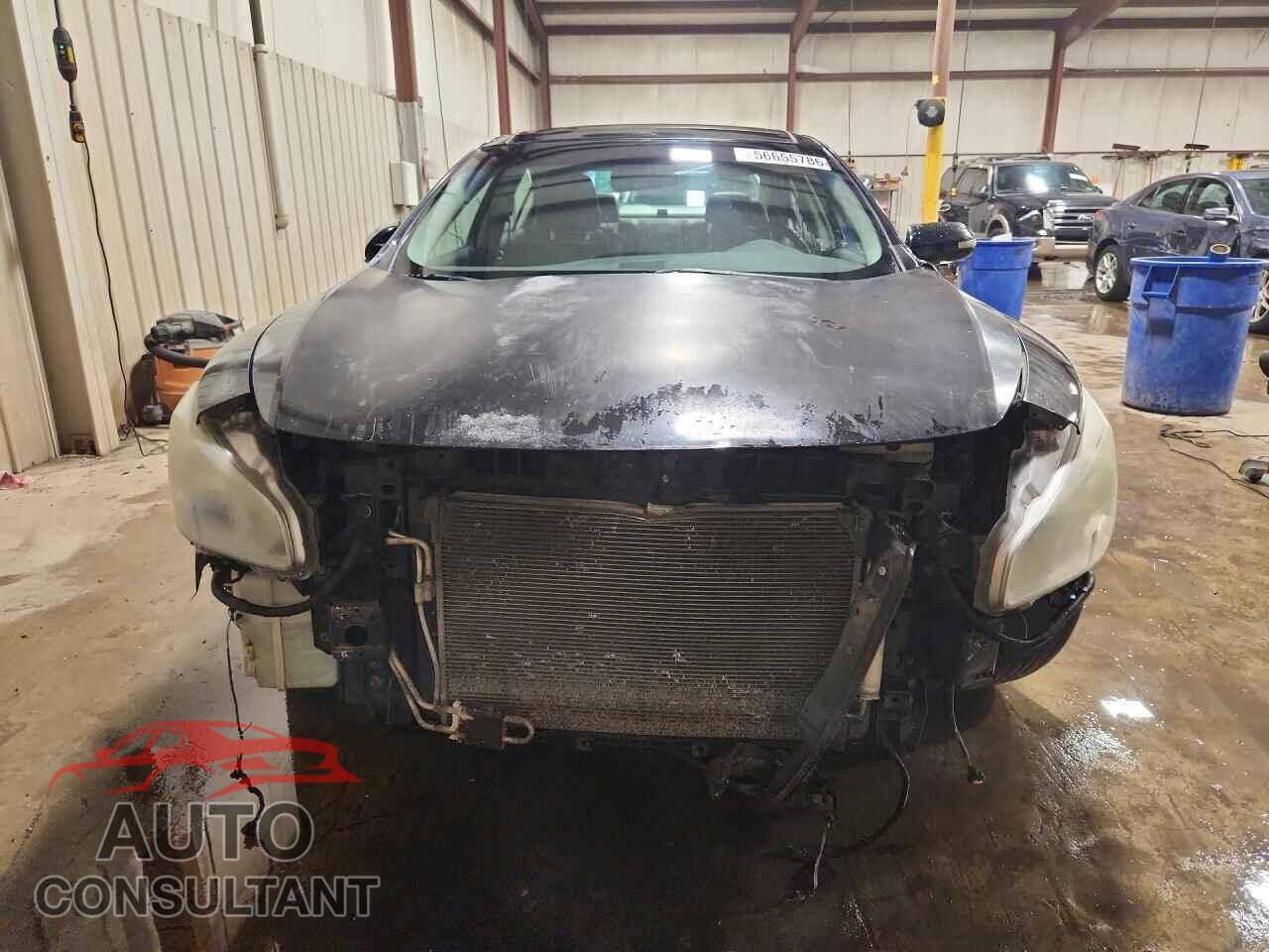 NISSAN MAXIMA 2012 - 1N4AA5AP2CC836525