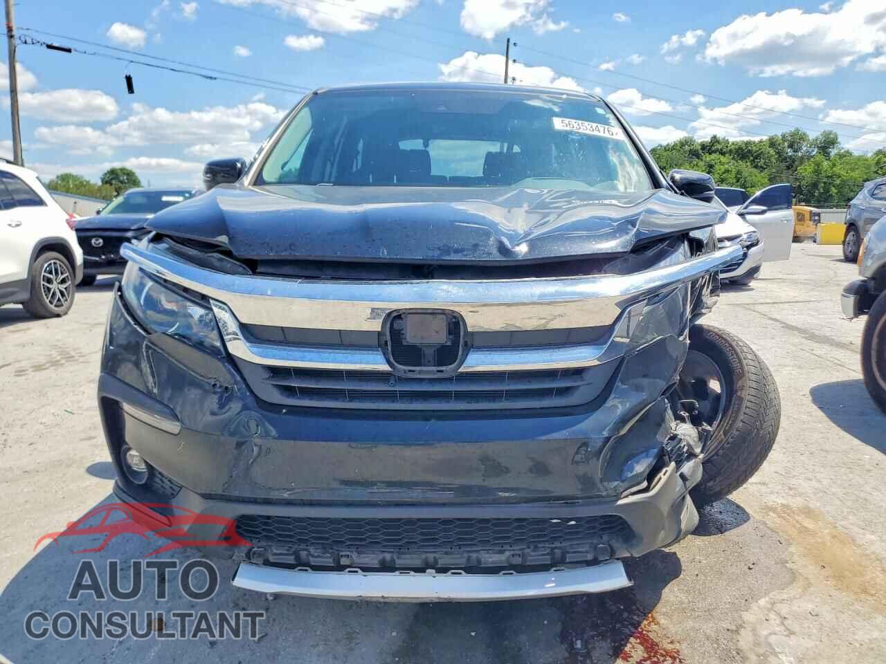 HONDA PILOT 2019 - 5FNYF5H50KB027671