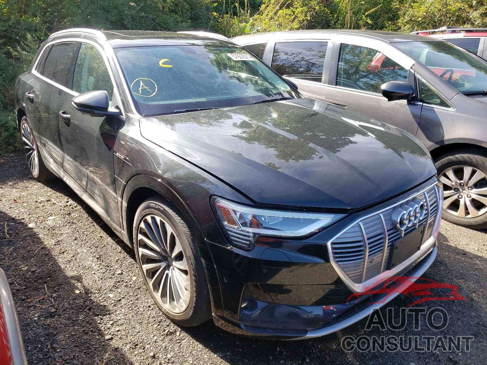 AUDI E-TRON 2019 - WA1VABGE6KB017130