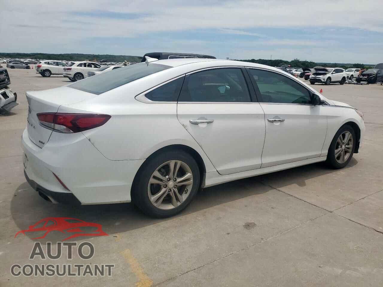 HYUNDAI SONATA 2019 - 5NPE34AF1KH740203