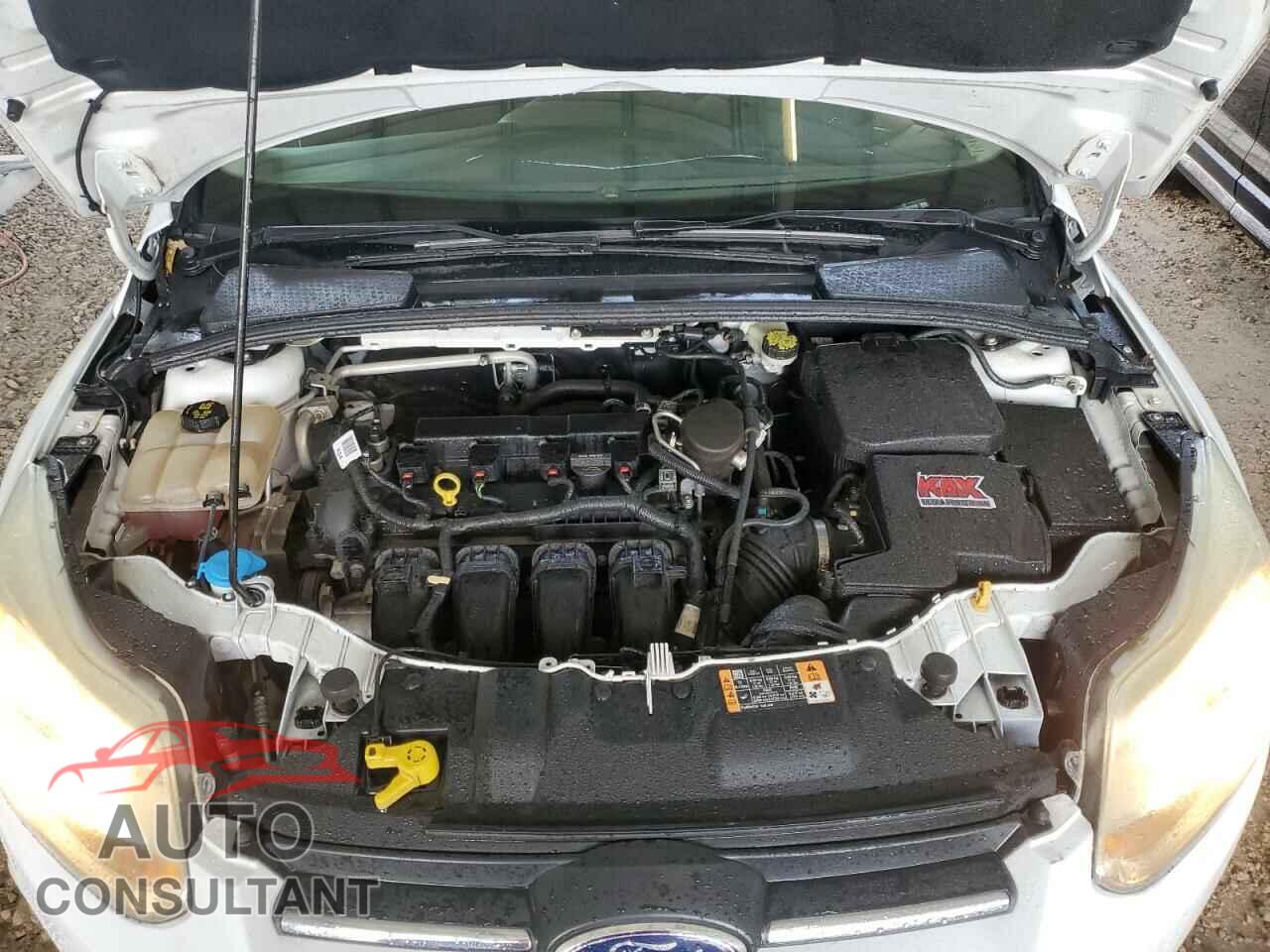 FORD FOCUS 2014 - 1FADP3K21EL317410