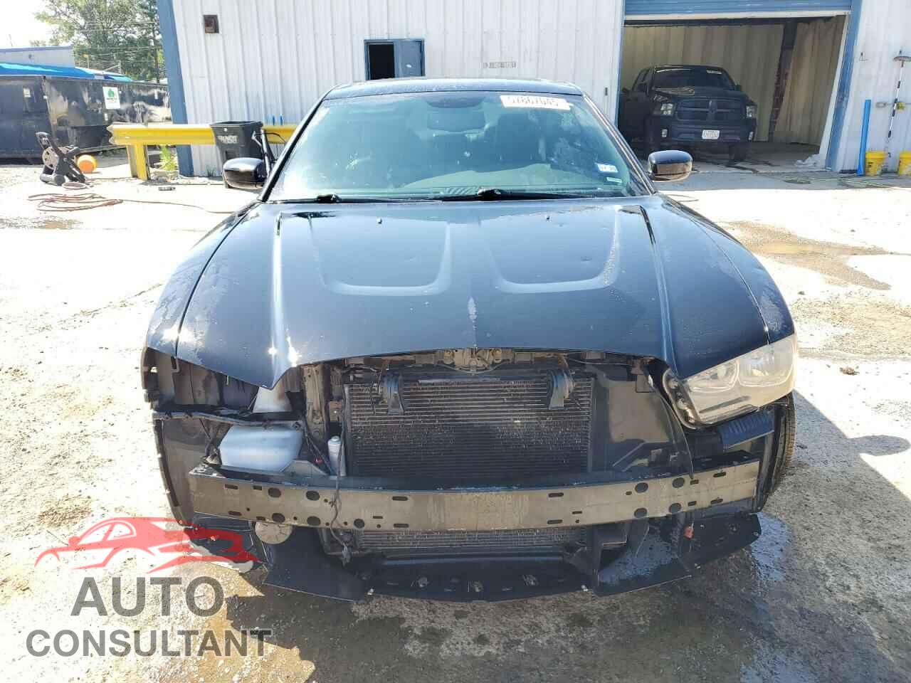 DODGE CHARGER 2013 - 2C3CDXHG3DH705439