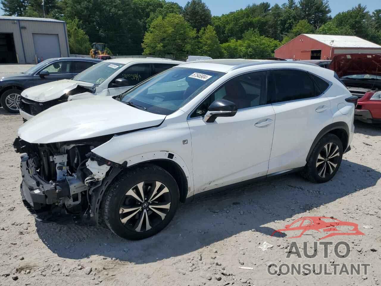 LEXUS NX 2019 - JTJBARBZ7K2181348