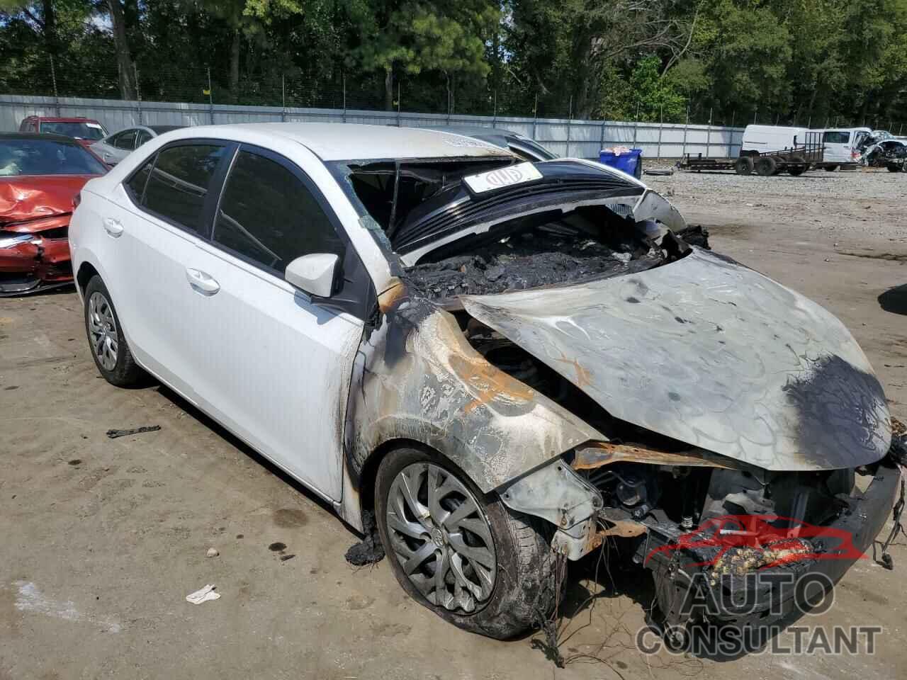 2019 COROLLA TOYOTA