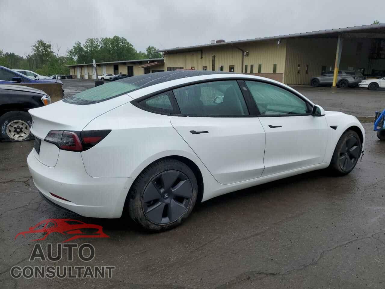 TESLA MODEL 3 2021 - 5YJ3E1EA2MF919821