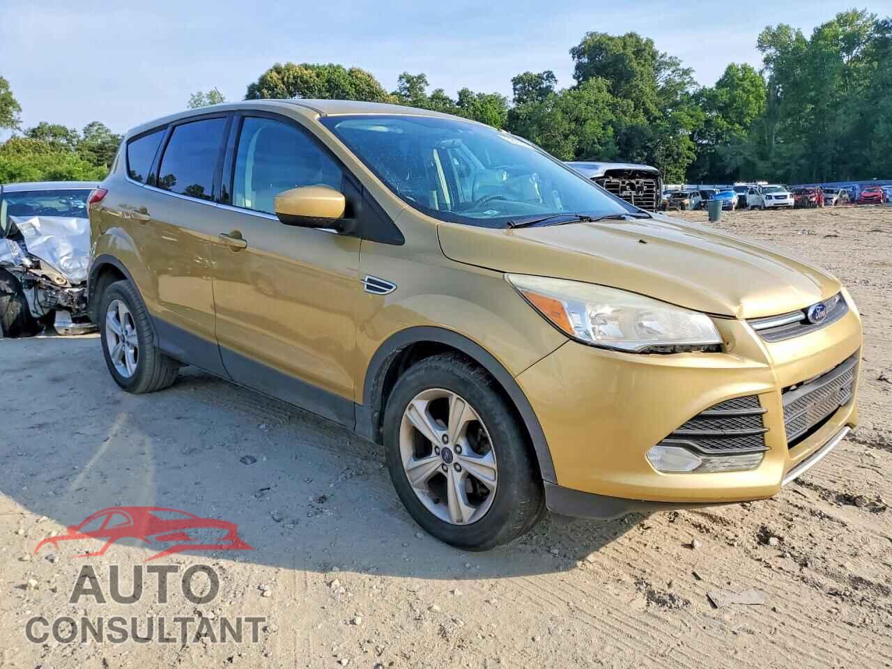 FORD ESCAPE 2014 - 1FMCU9GX6EUC76977