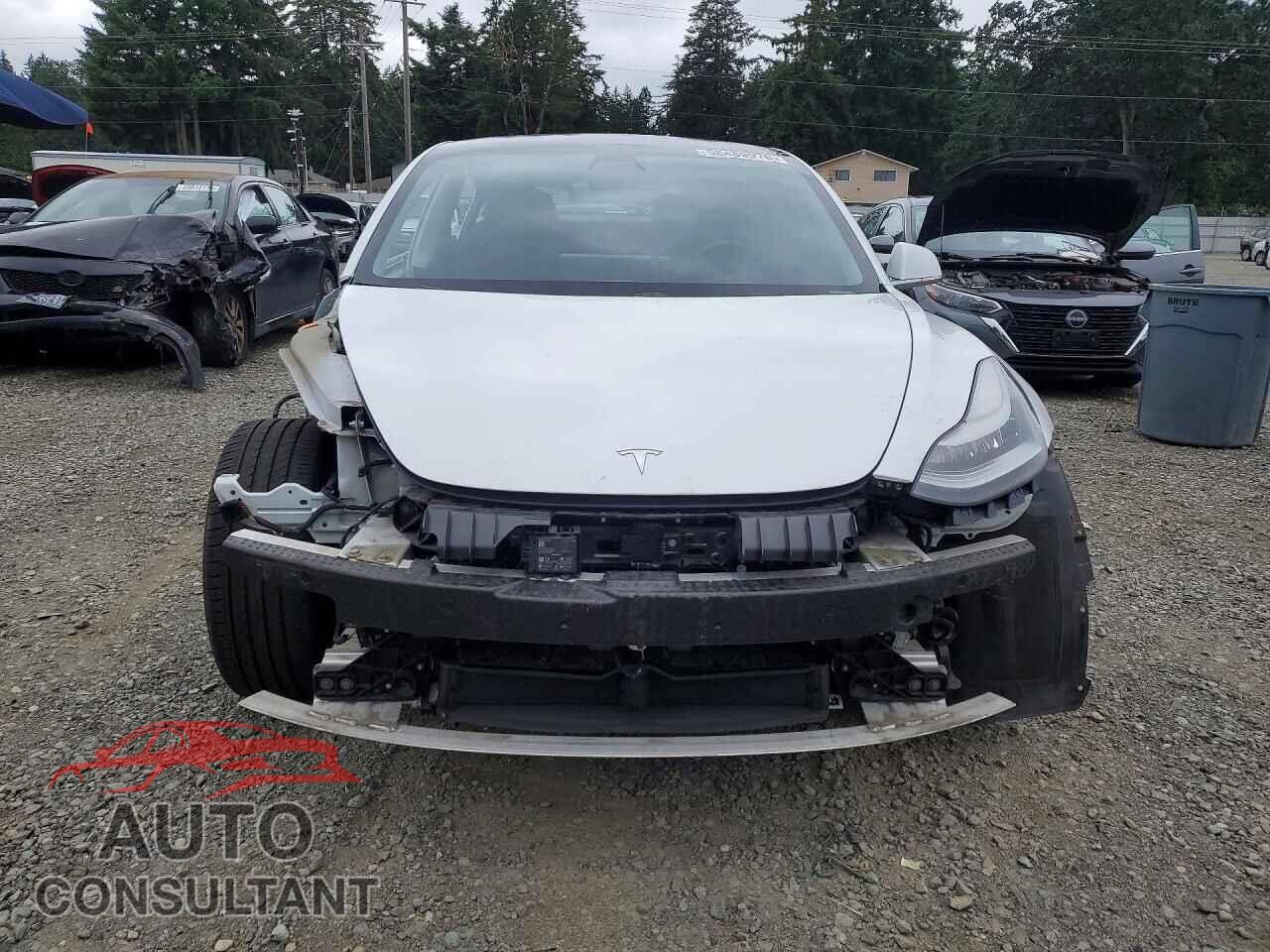 TESLA MODEL 3 2019 - 5YJ3E1EA1KF425169