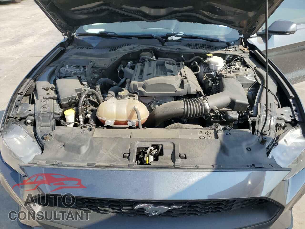 FORD MUSTANG 2019 - 1FA6P8TH3K5134518