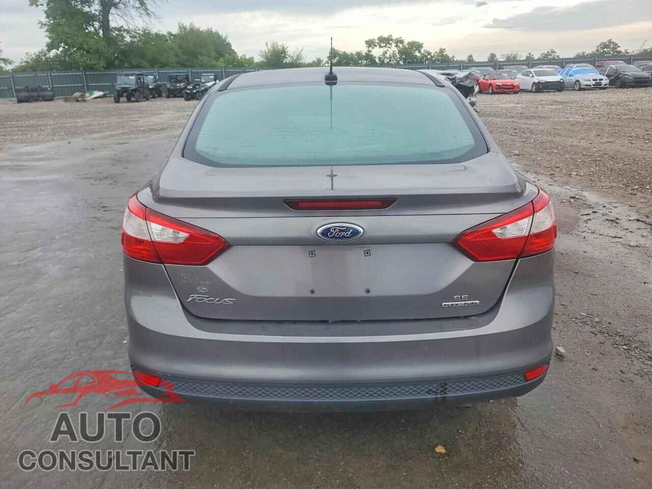 FORD FOCUS 2014 - 1FADP3F29EL415661