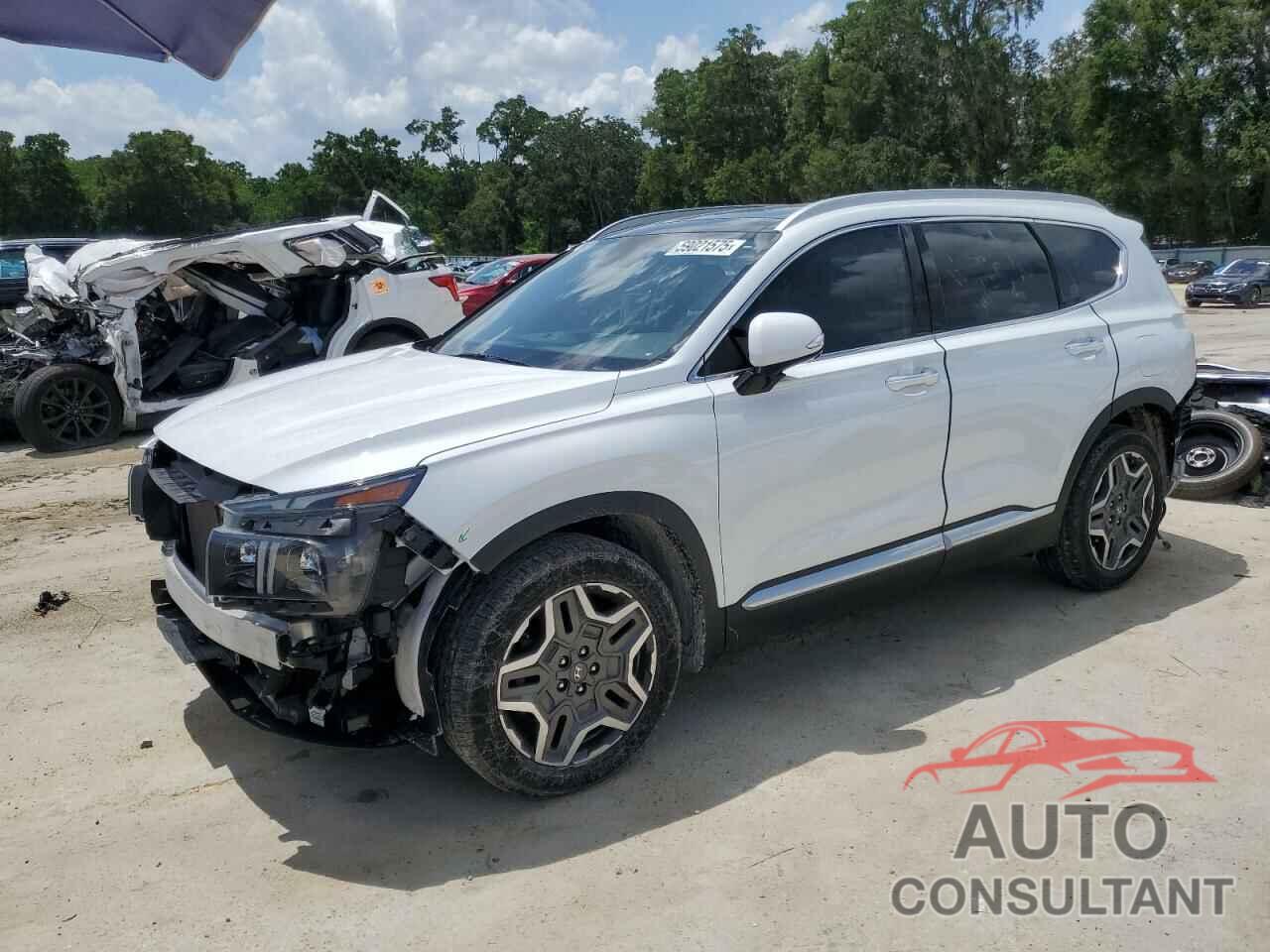 HYUNDAI SANTA FE 2022 - 5NMS44AL8NH421405