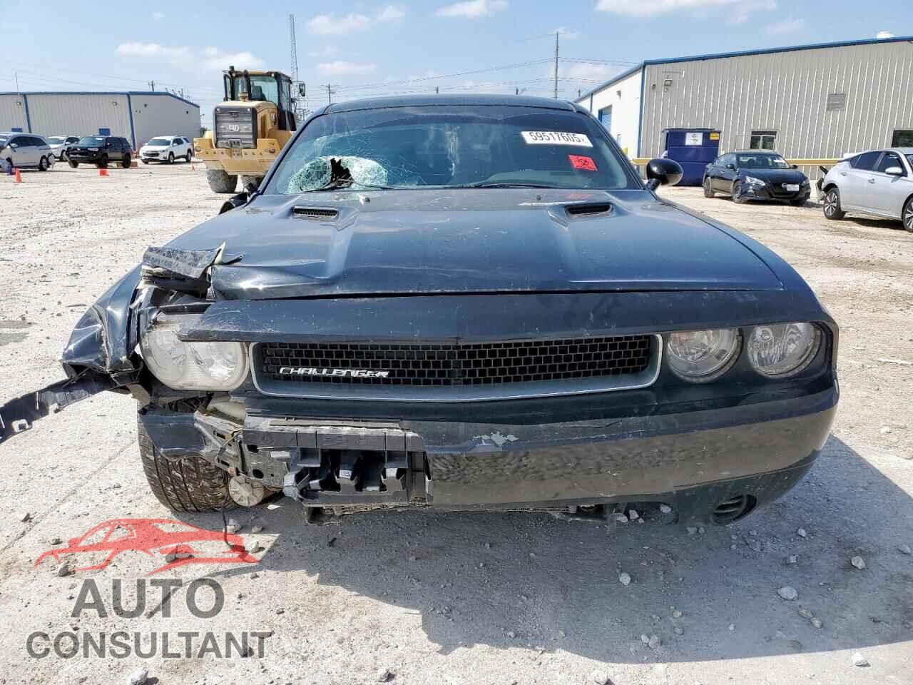 DODGE CHALLENGER 2013 - 2C3CDYAG2DH648733
