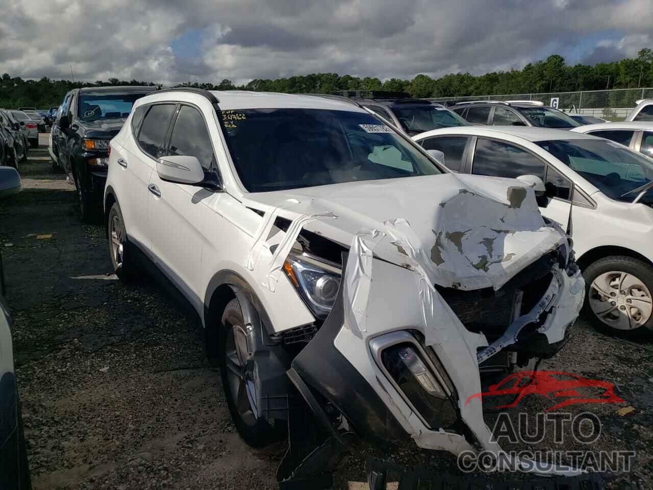 HYUNDAI SANTA FE 2017 - 5NMZU3LB0HH050712