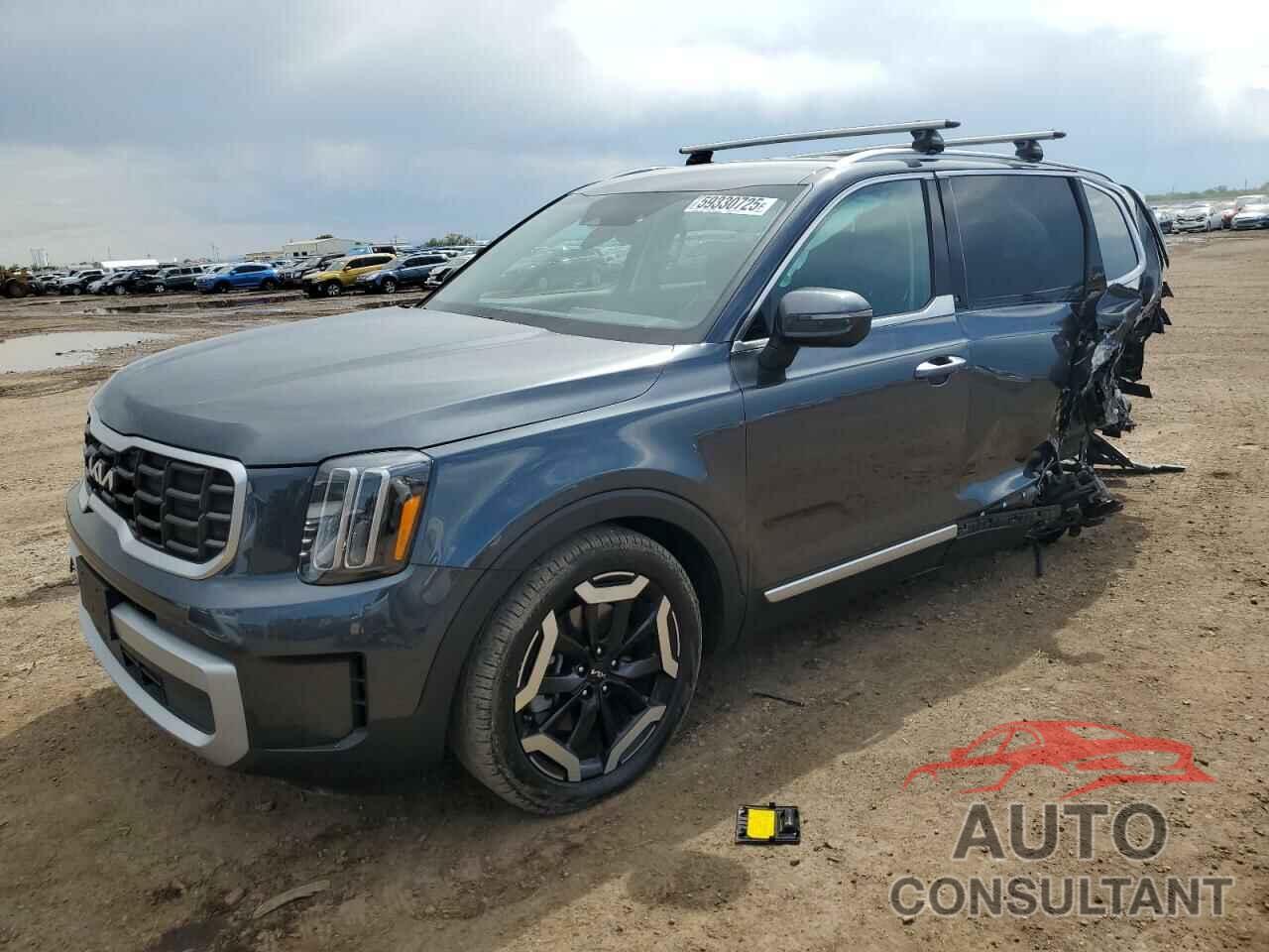 KIA TELLURIDE 2024 - 5XYP6DGC7RG416462