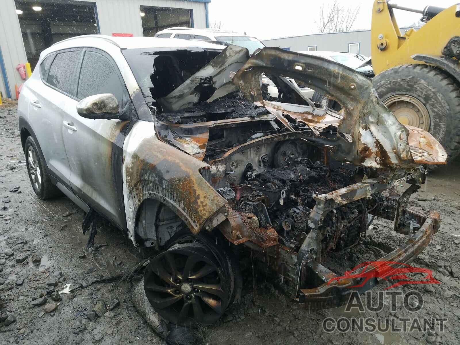 HYUNDAI TUCSON 2017 - KM8J3CA41HU273074