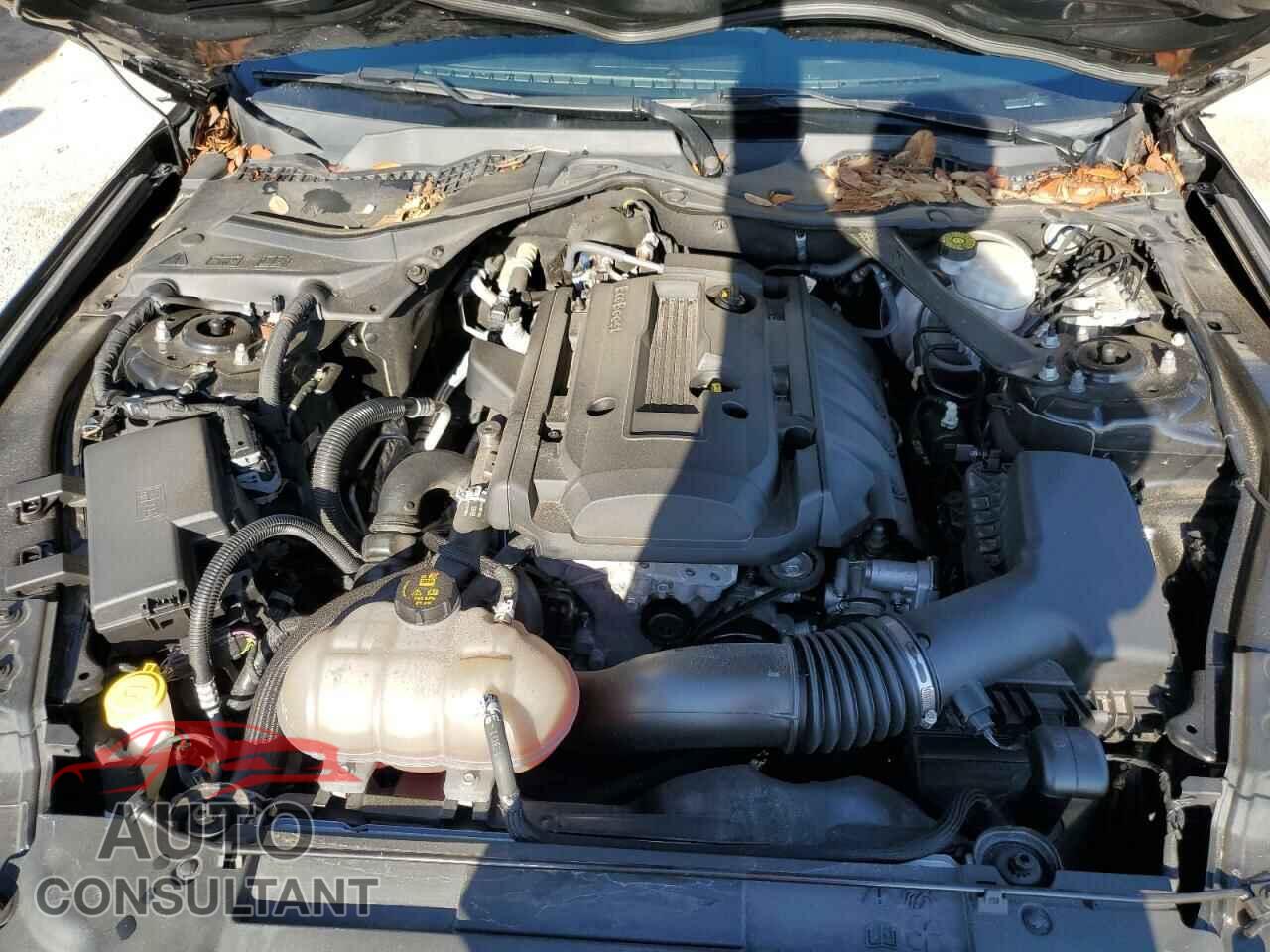 FORD MUSTANG 2019 - 1FATP8UH7K5111597