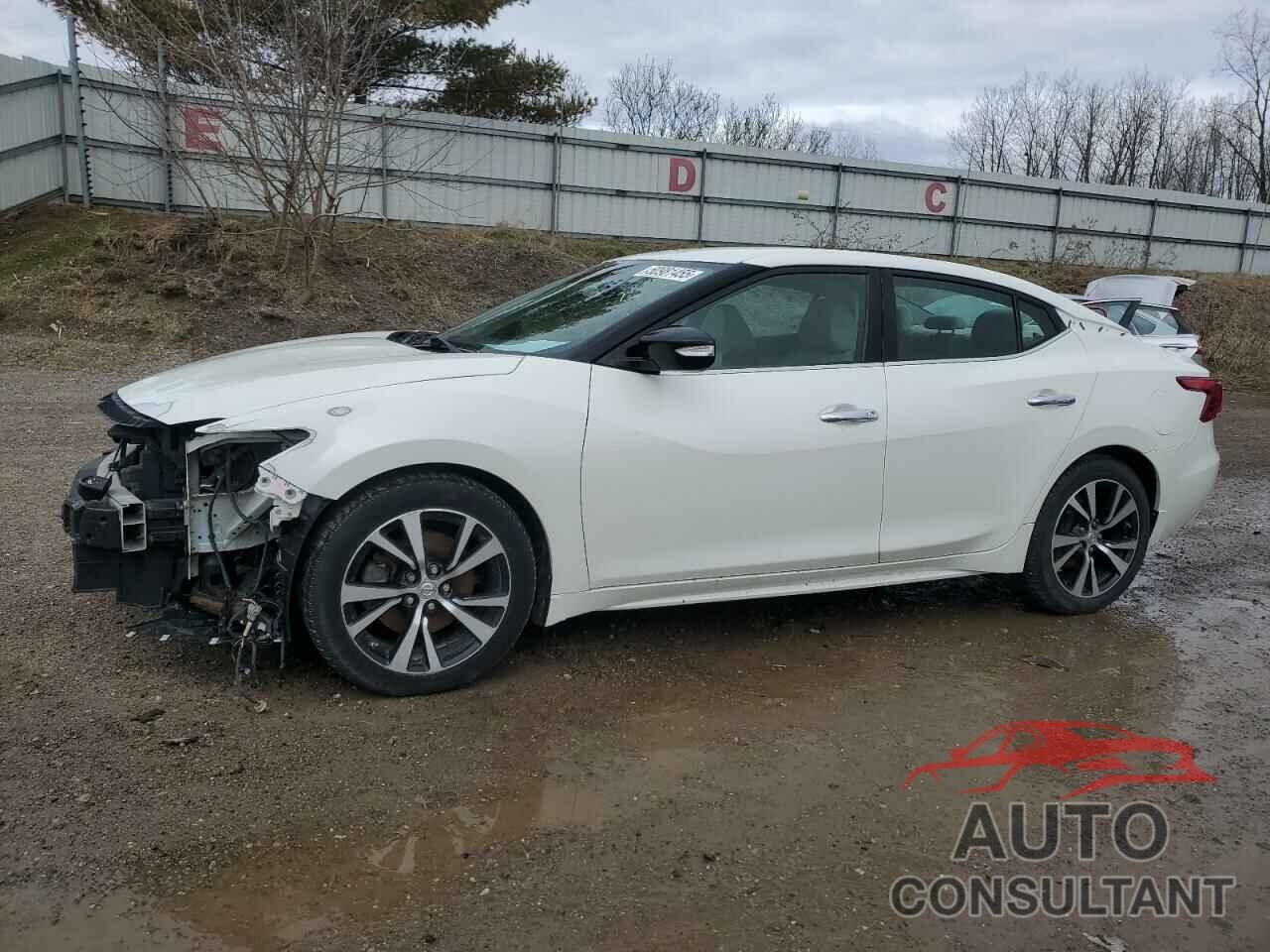 NISSAN MAXIMA 2017 - 1N4AA6AP7HC455315