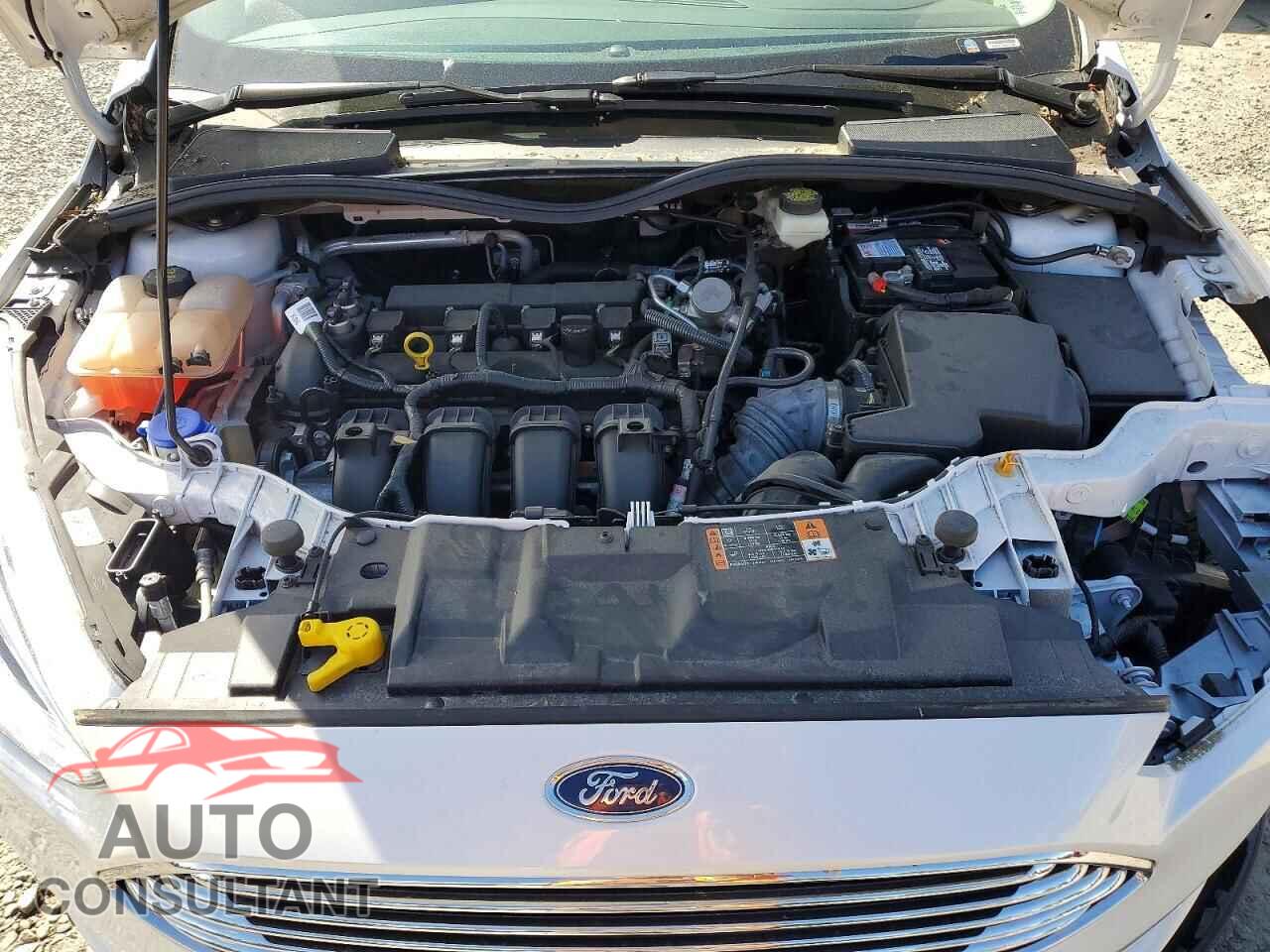 FORD FOCUS 2017 - 1FADP3J21HL227714