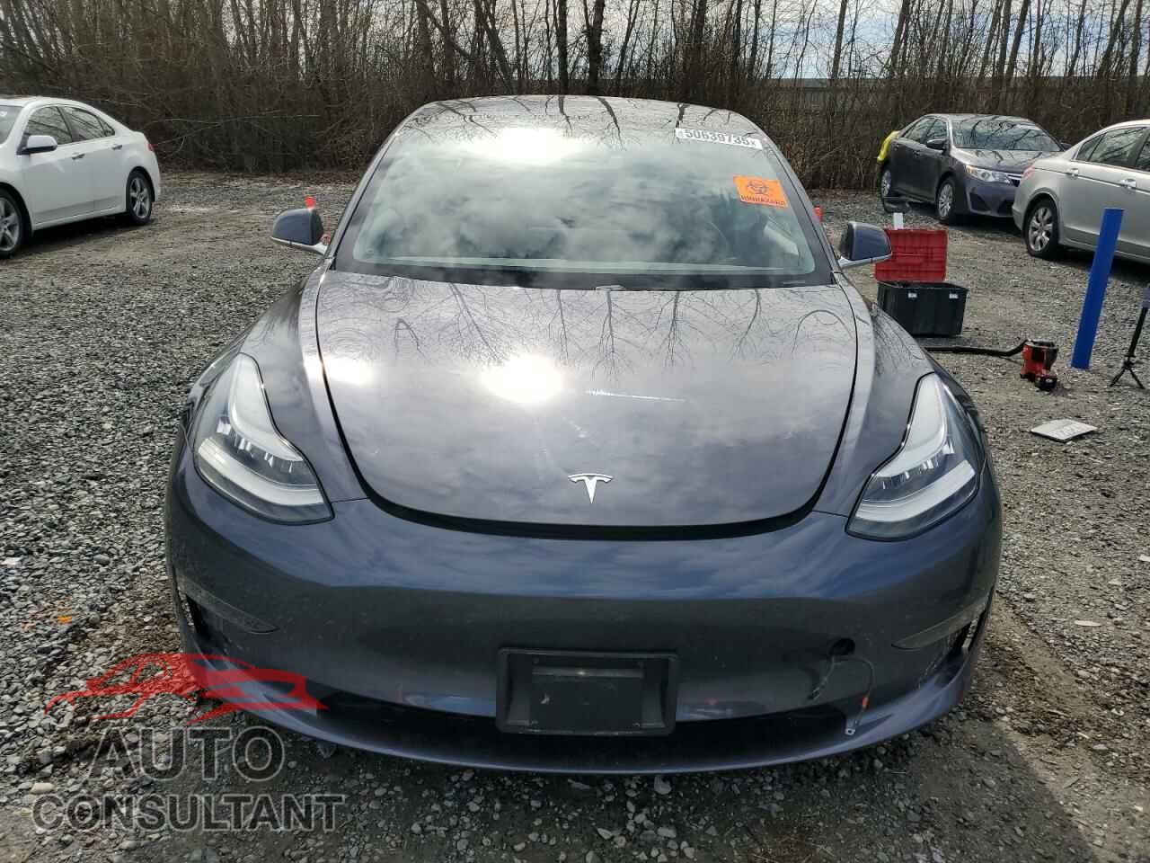 TESLA MODEL 3 2019 - 5YJ3E1EBXKF389264