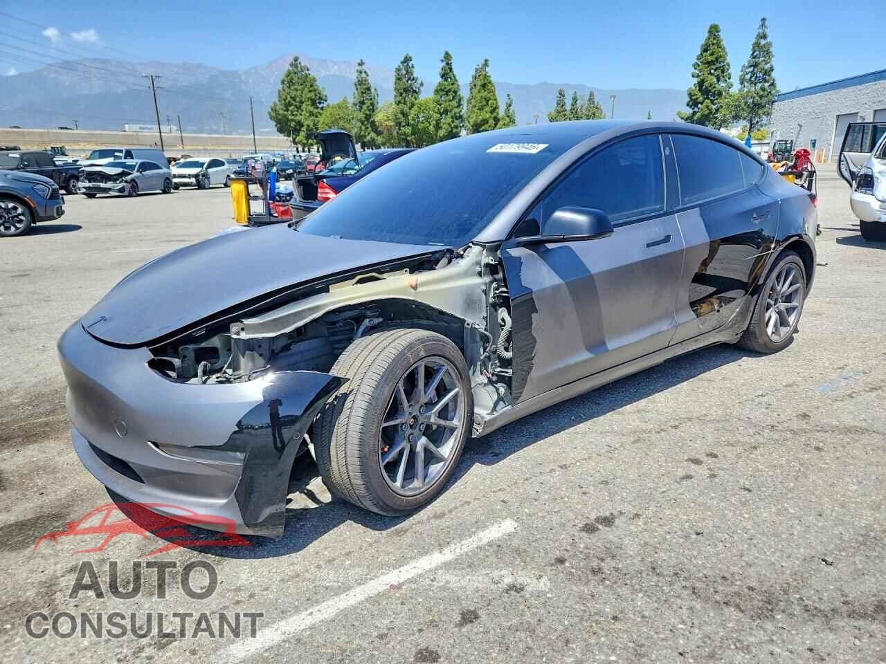 TESLA MODEL 3 2021 - 5YJ3E1EB3MF074034