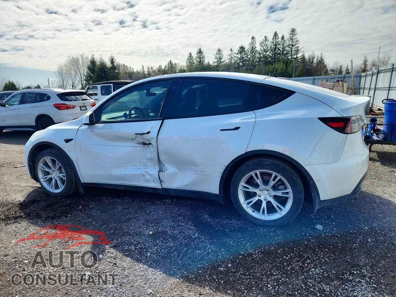 TESLA MODEL Y 2021 - 5YJYGDEE0MF199942