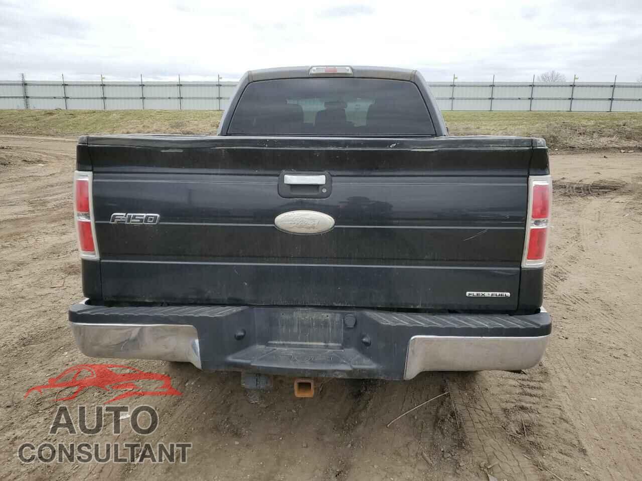 FORD F-150 2011 - 1FTFX1EF5BFA97625