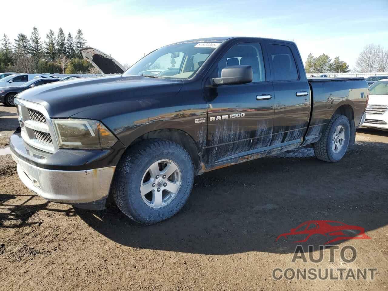 DODGE All Models 2011 - 1D7RV1GT0BS535289