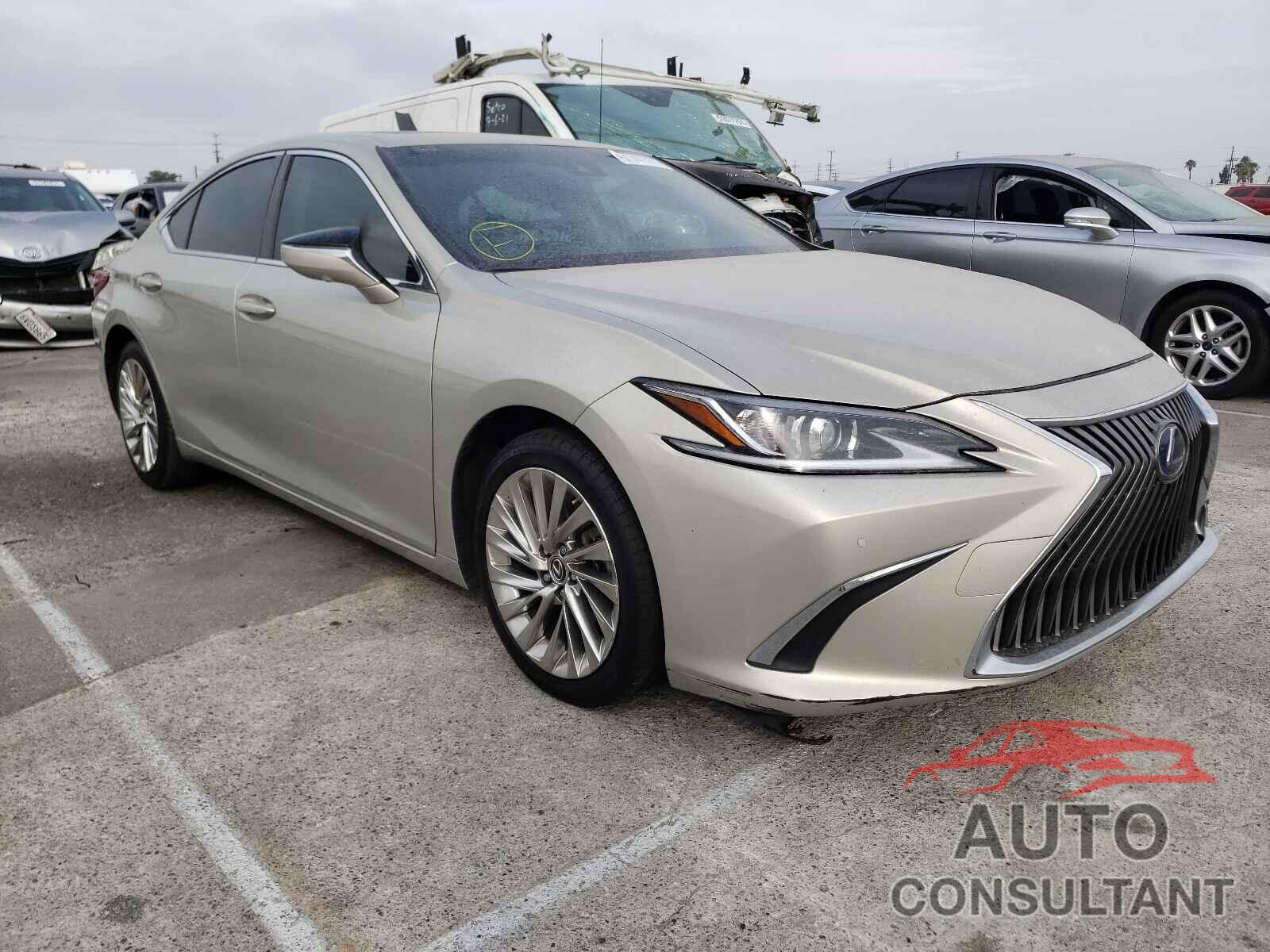 LEXUS ES300 2019 - JTHB21B17K2014756