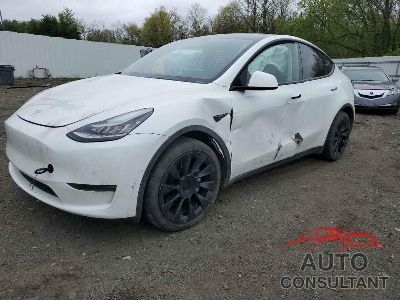 TESLA MODEL Y 2021 - 5YJYGDEE8MF084375